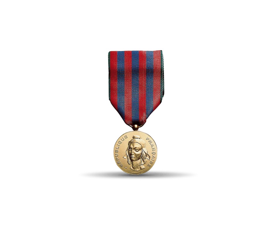 MEDAILLE COMMEMORATIVE FRANCAISE